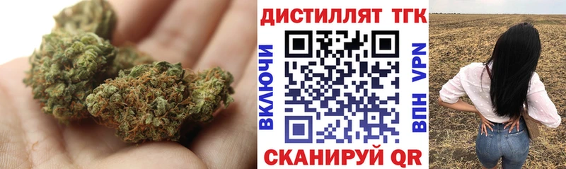 Дистиллят ТГК THC oil Купить где Можга